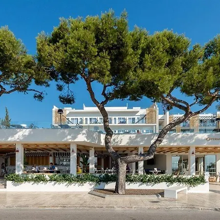 Fergus Style - Adults Only 4* Palmanova